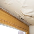 Leaks and Water Damage: What You Need to Know