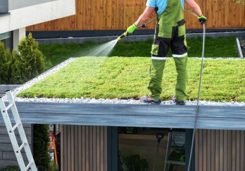 The Benefits and Costs of Green Roofing: Everything You Need to Know